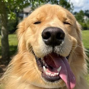 Meet your Posher, Amaya